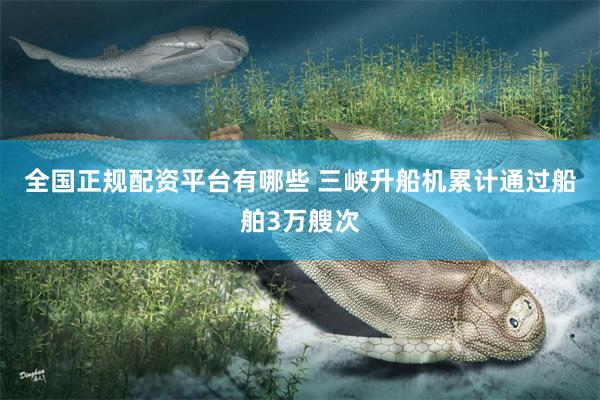 全国正规配资平台有哪些 三峡升船机累计通过船舶3万艘次