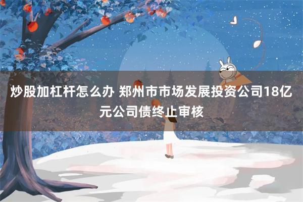 炒股加杠杆怎么办 郑州市市场发展投资公司18亿元公司债终止审核