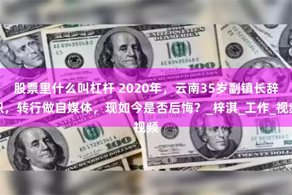 股票里什么叫杠杆 2020年，云南35岁副镇长辞职，转行做自媒体，现如今是否后悔？_梓淇_工作_视频