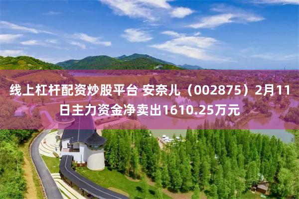 线上杠杆配资炒股平台 安奈儿（002875）2月11日主力资金净卖出1610.25万元