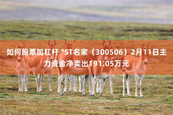 如何股票加杠杆 *ST名家（300506）2月11日主力资金净卖出191.05万元