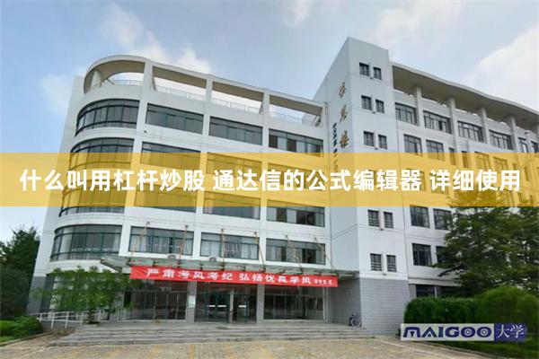 什么叫用杠杆炒股 通达信的公式编辑器 详细使用