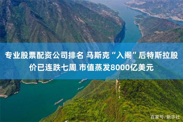 专业股票配资公司排名 马斯克“入阁”后特斯拉股价已连跌七周 市值蒸发8000亿美元