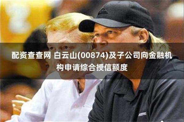 配资查查网 白云山(00874)及子公司向金融机构申请综合授信额度
