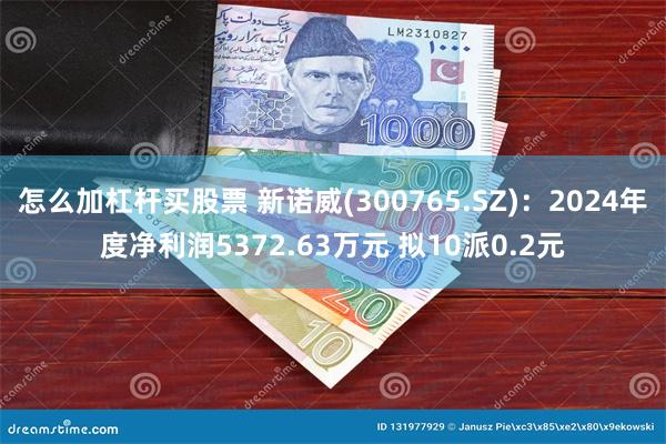 怎么加杠杆买股票 新诺威(300765.SZ)：2024年度净利润5372.63万元 拟10派0.2元
