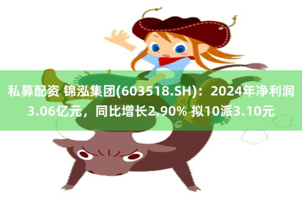 私募配资 锦泓集团(603518.SH)：2024年净利润3.06亿元，同比增长2.90% 拟10派3.10元
