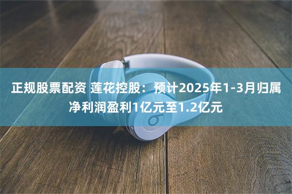 正规股票配资 莲花控股：预计2025年1-3月归属净利润盈利1亿元至1.2亿元