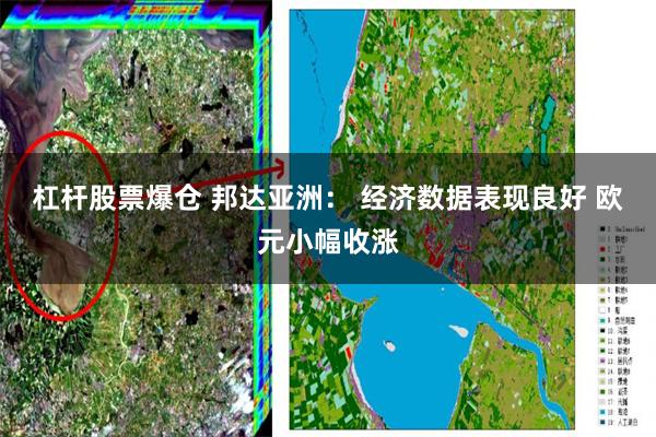 杠杆股票爆仓 邦达亚洲： 经济数据表现良好 欧元小幅收涨