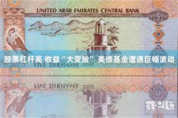 股票杠杆高 收益“大变脸” 美债基金遭遇巨幅波动