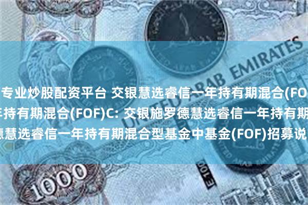 专业炒股配资平台 交银慧选睿信一年持有期混合(FOF)A,交银慧选睿信一年持有期混合(FOF)C: 交银施罗德慧选睿信一年持有期混合型基金中基金(FOF)招募说明书(更新)