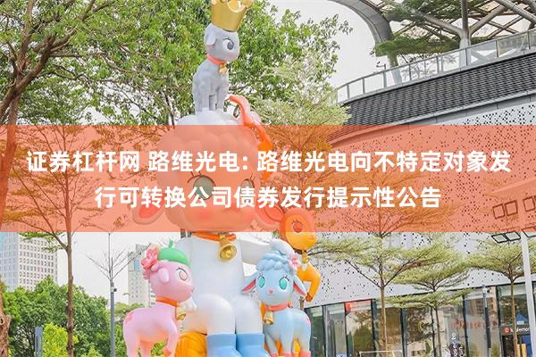 证券杠杆网 路维光电: 路维光电向不特定对象发行可转换公司债券发行提示性公告