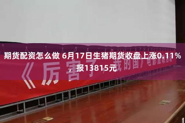 期货配资怎么做 6月17日生猪期货收盘上涨0.11%，报13815元